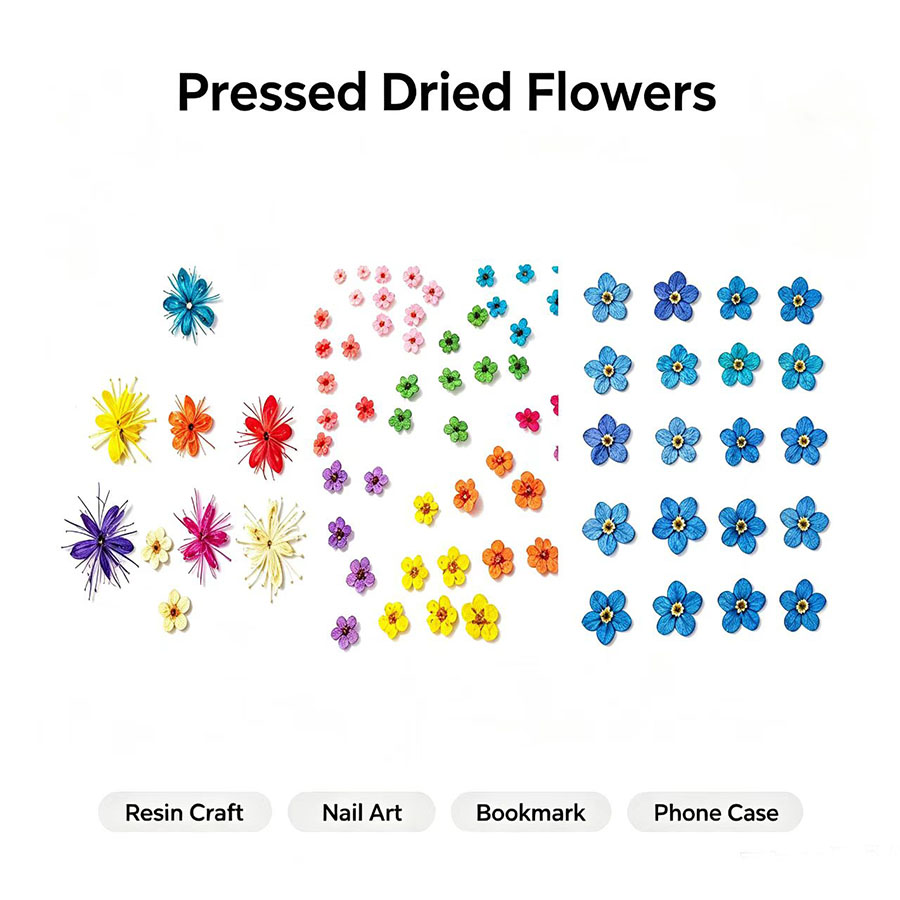 Resin Art Case - 60 piezas de flores secas en