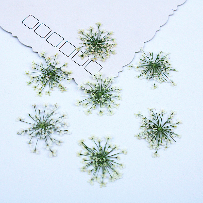 Resin Art Baby - 500 piezas de flores de encaje,