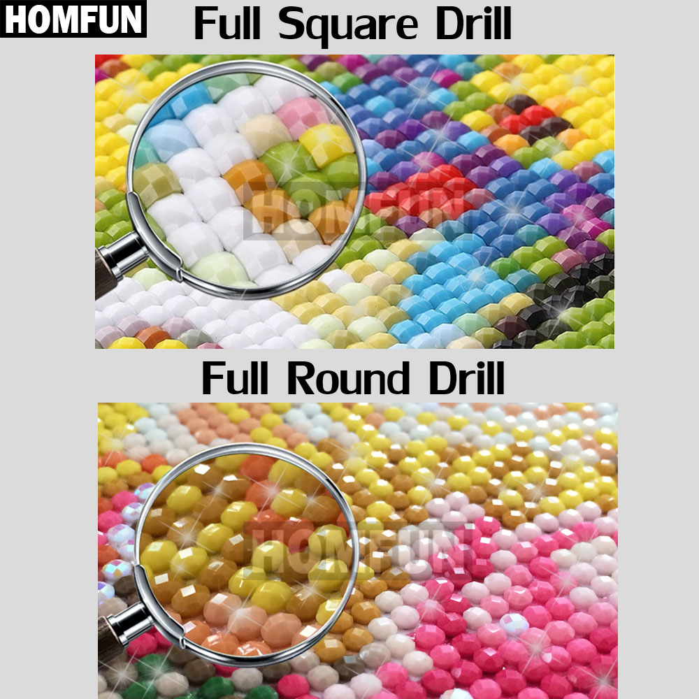 HOMFUN Diy 5d pintura de diama - Resin Art Rose reseña y precio