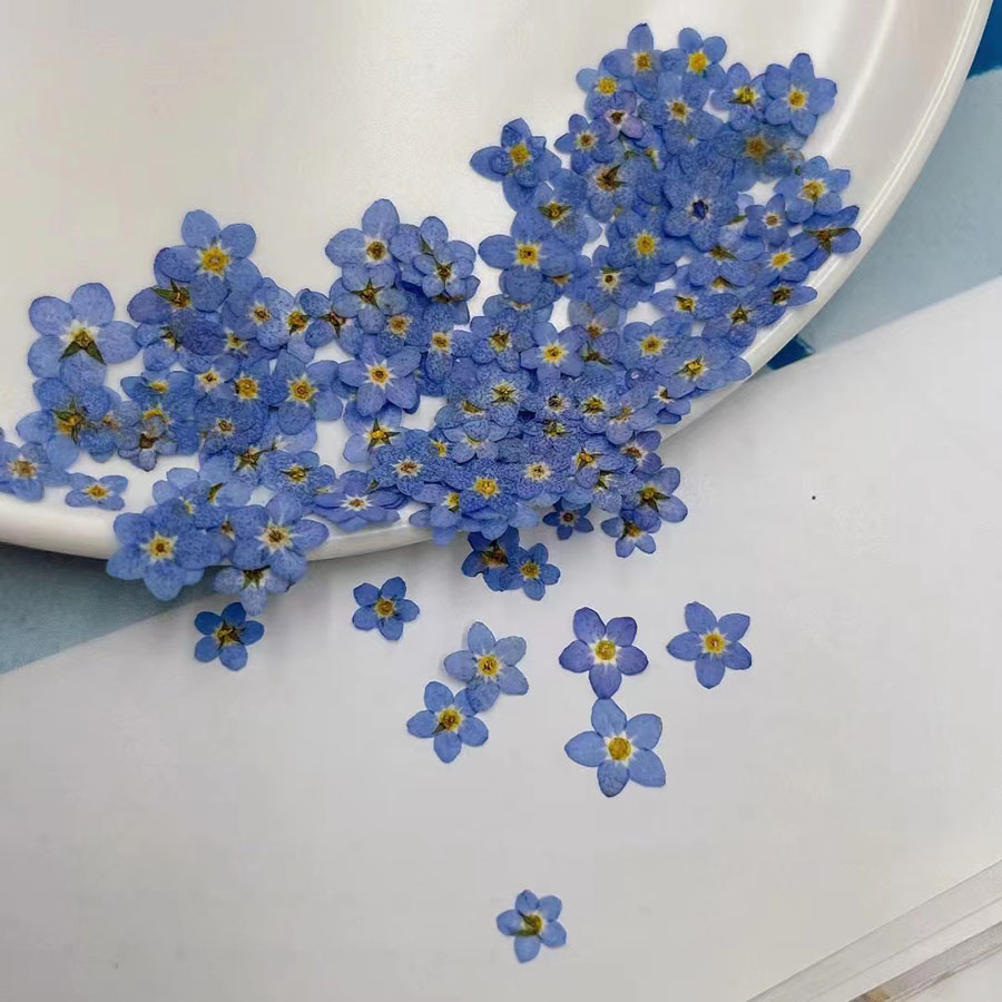 60 piezas de flores secas en m - Resin Art Case reseña y precio