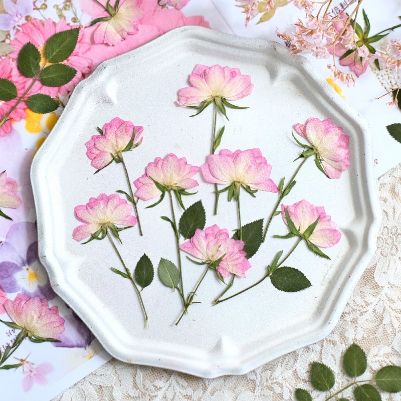 12 Piezas de Flores Secas Pren - Resin Art Baby reseña y precio