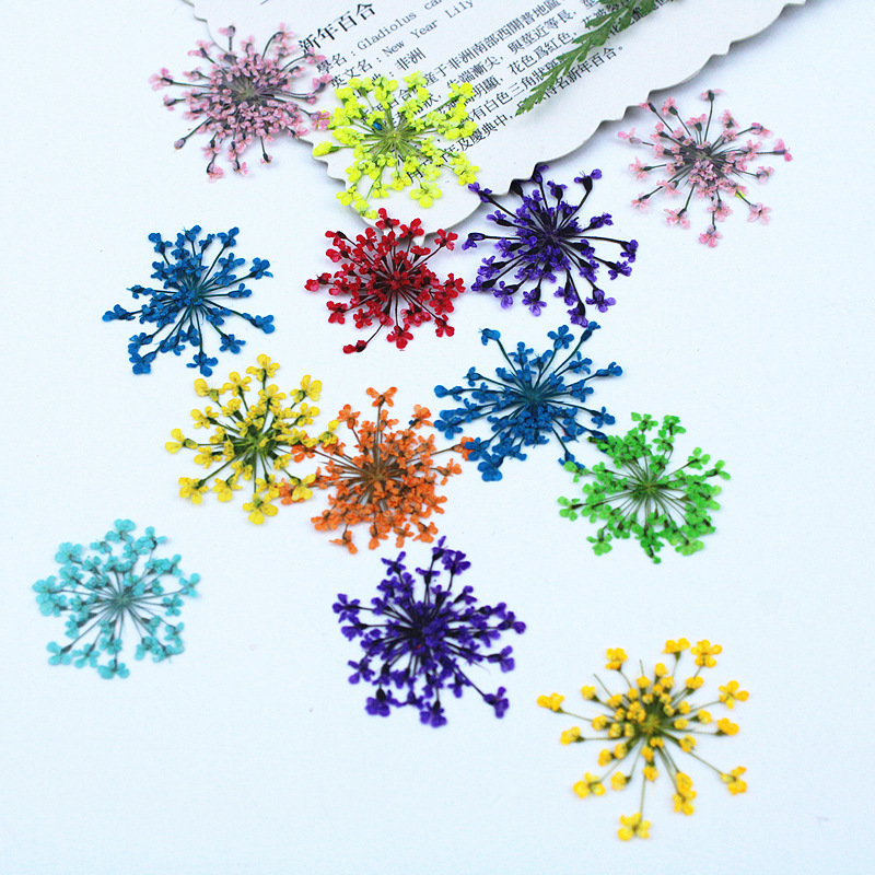 500 piezas de flores de encaje - Resin Art Baby reseña y precio